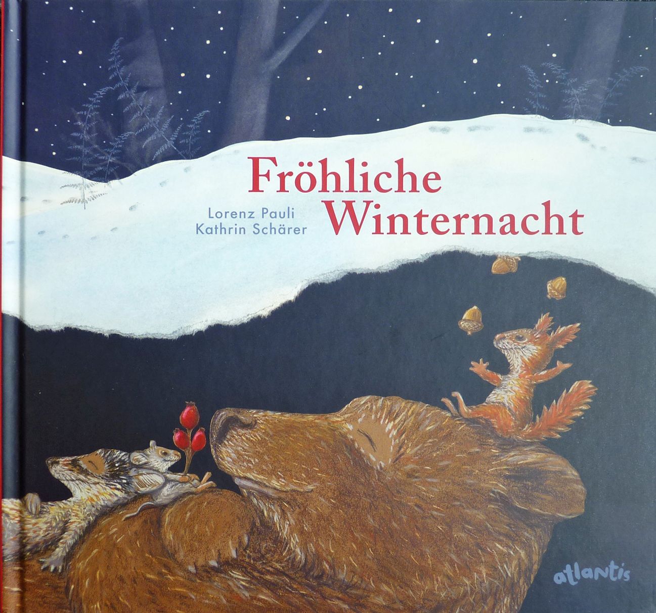 Fröhliche Winternacht