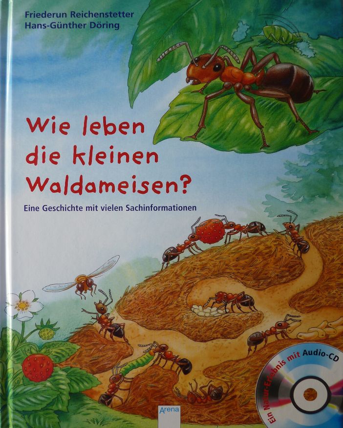 Wie leben die kleinen Waldameisen?